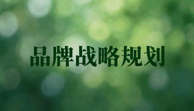 商务流程优化中的性能与适用条件问题处理